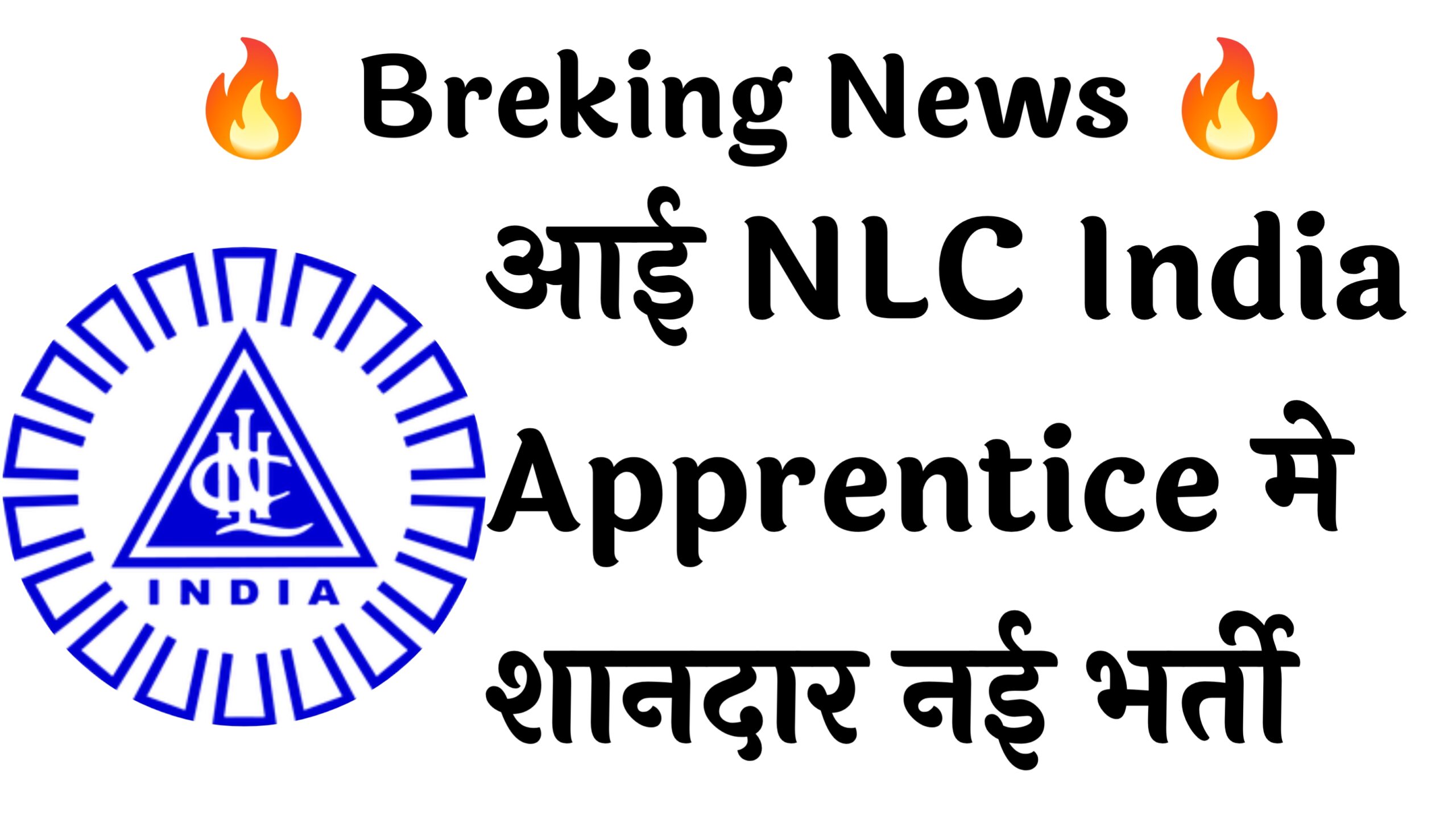 NLC India Apprentice 165 Recruitment :