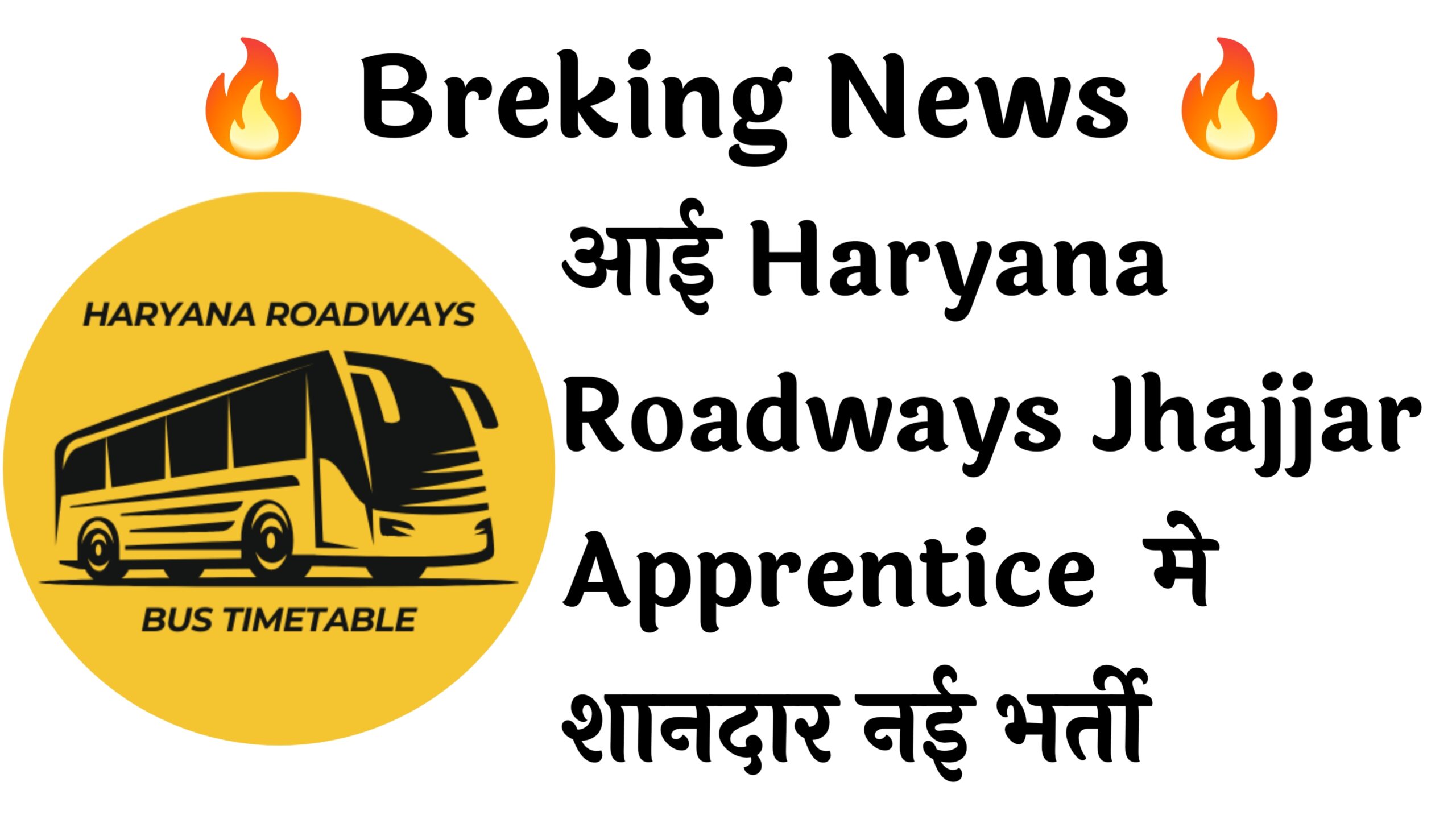 Haryana Roadways Jhajjar Apprentice 45 Recruitment :