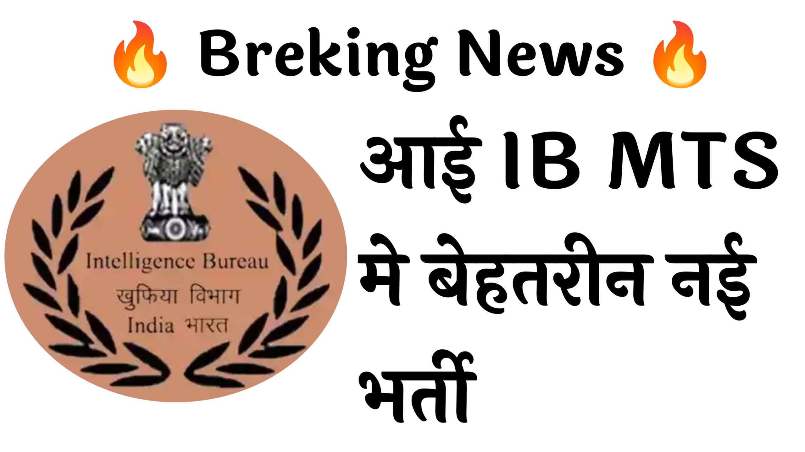 IB MTS 362 Recruitment :